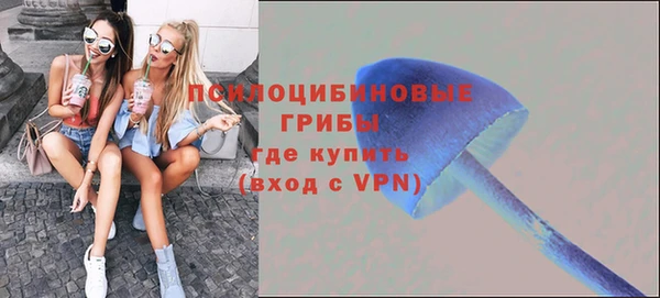 первитин Дмитриев