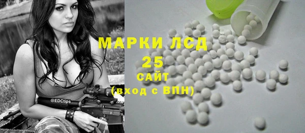 МДПВ Ельня