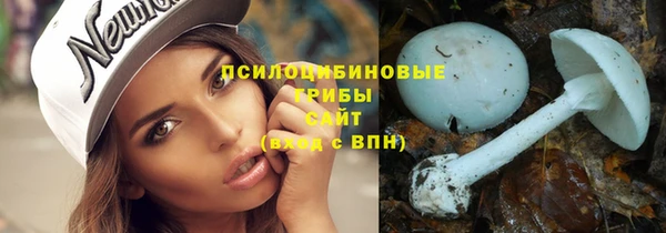 МДПВ Ельня