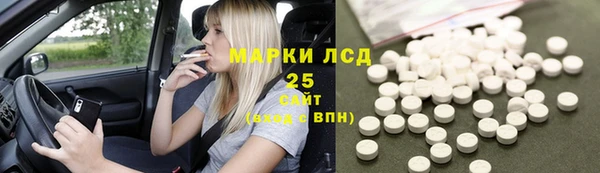 гидра Елабуга