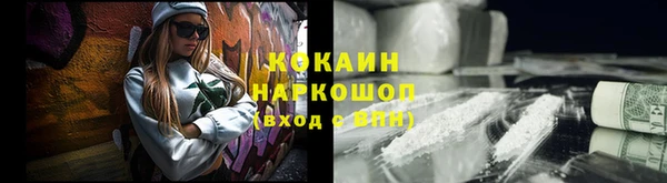 гидра Елабуга