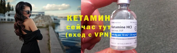 индика Сосновоборск
