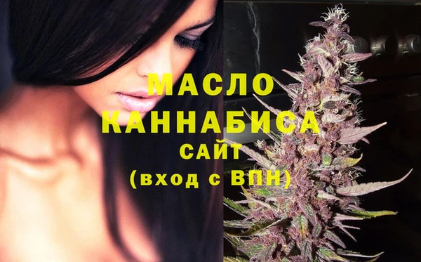 МДПВ Ельня