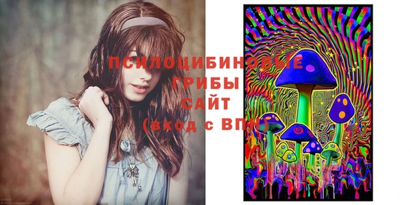 гидра Елабуга