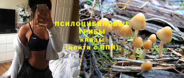 гидропоника Елизово