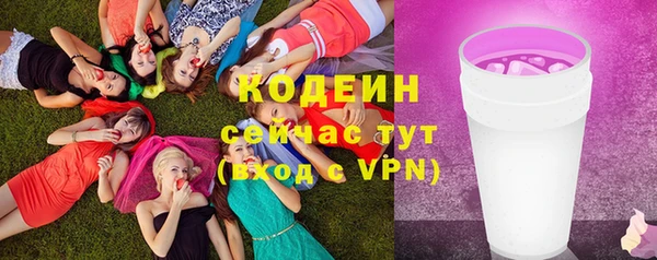 гидра Елабуга