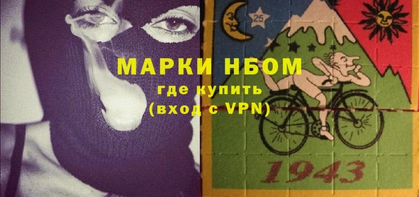 шишки Дмитров