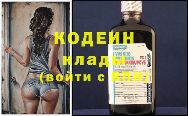 гидра Елабуга