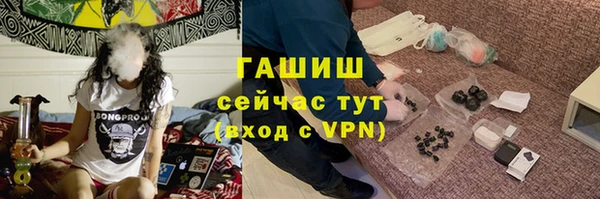 гидра Елабуга