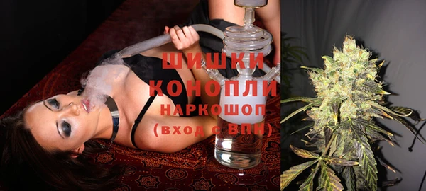 гидра Елабуга