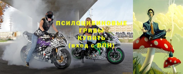 гидра Елабуга