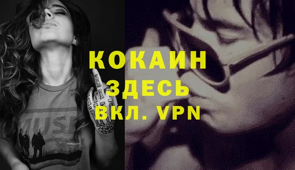 МДПВ Ельня