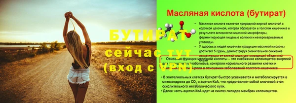 МДПВ Ельня