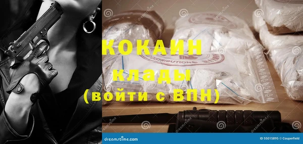 МДПВ Ельня