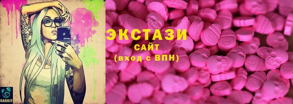 МДПВ Ельня