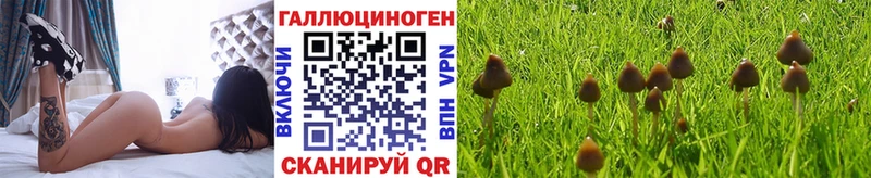 Псилоцибиновые грибы прущие грибы  дарк нет официальный сайт  OMG ТОР  Керчь  наркошоп 