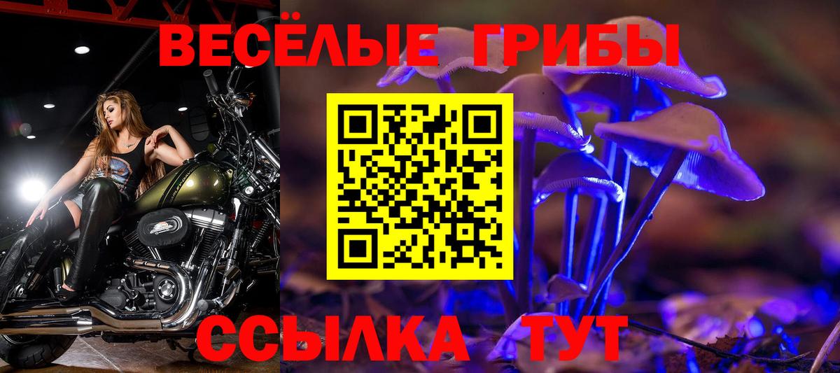 Псилоцибиновые грибы Cubensis  продажа наркотиков  Псилоцибиновые грибы ЛСД  Керчь  Вход с VPN 