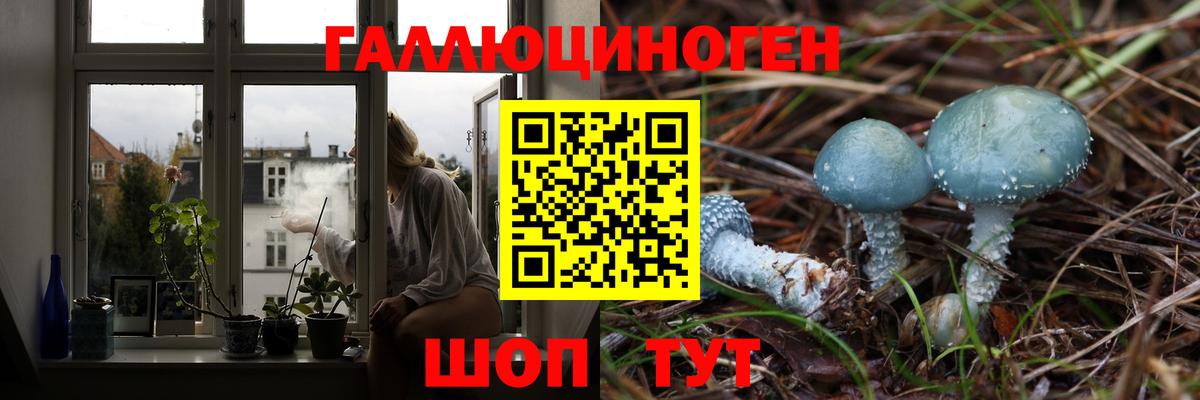 Псилоцибиновые грибы Magic Shrooms Керчь